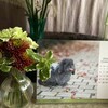 秋晴れの土曜日