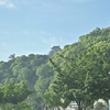 伊豆ほぼ一周の旅。