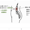 赤ちゃんの寝つきが悪いんですけど