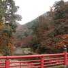 【岡山県の紅葉】井原市の紅葉スポット２か所をまわる【田中苑】【天神峡】