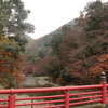 【岡山県の紅葉】井原市の紅葉スポット２か所をまわる【田中苑】【天神峡】