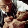 【映画】「マラソンマン（Marathon Man）」(1976年) 観ました。（オススメ度☆☆☆☆☆）