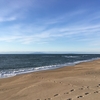 やっぱりランが好き！（海が見える坂道走）