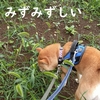 今更気づいた、だよ