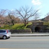 岡崎（京都市内）の桜