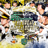 【阪神】2023年日本シリーズ【オリックス】