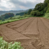 丘の菜園（仮）を開墾して環境再生型栽培【NoDig】ノーディグ無農薬栽培実験を始めます