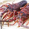 昼めし旅 「贅沢な晩餐材料：伊勢海老、サザエ、ハマグリ」