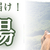 「知らないと損する八王子食べ歩き〜美味しいお店をおすすめ！〜」ちょっと箸休め！  セブンティーンアイスの魅力に迫る！手軽さとクオリティーが心を満たす至福のひととき