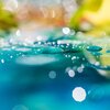 強くなければ、と思っていたらしい。