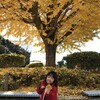 ミルクは要らないココナッツミルクさえあれば