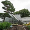 薬用植物園3_温室（東京都小平市）