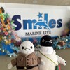 癒しの動物たちとの思い出 #ショー (白浜旅行その2)(647)