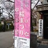 小金井 桜まつり