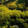 「山笑う」は春の新緑明るい山の季語ですが、「山わらう」はちょっと怖い意味なのです。