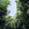 夢とつながり続ける。心を整える毎朝習慣