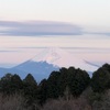 今朝の景色