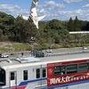 大阪 秋紀行2026／万博記念公園の秋　コスモス・コキアフェスタ