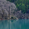 湖畔の風景