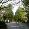 いい店発見！