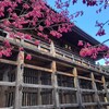 【滋賀県】『石山寺』に行ってきました。 源氏物語 紫式部 