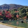 【京都府】天龍寺