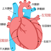   【基礎から学ぶ】冠状動脈【解剖生理学】