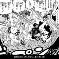 悪魔の実図鑑 Ssブログ