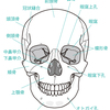 美顔器で小鼻が縮んだ話。