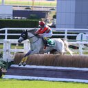 中央競馬・(主に)障害レース展望