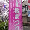 小金井桜まつり2016〜雨上がりの公園で花見酒〜