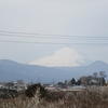 梅林の富士山