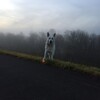 予定は未定