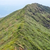 不忘山山頂への尾根道では　たくさんの花が待ってくれているらしい