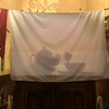 2024/12/21：ううん、血が好きなだけ