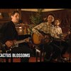 今日の動画。 - The Cactus Blossoms (Full performance #Microshow for The Current)