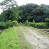 山の天気は　此のところ　霧・雨の判で押した予報である