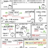 【問題編４９】利益の振替