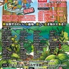 4月27日近畿レプタイルズマーケットに出展します！