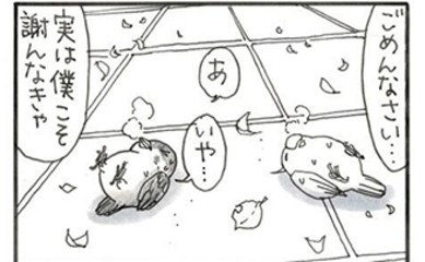 夜廻り猫【第一〇六〇話】恋する小鳥⑫