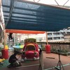 幼稚園に日陰を