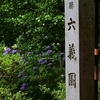 ✿六義園の紫陽花を紹介します❗