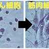 ​がん細胞に「がん」を辞めてもらう。