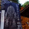 まさに幽玄の世界！50年ぶりの秘仏公開【ブッダ巡礼】瓦屋禅寺｜Kawarayazenji｜＠滋賀2023