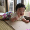 うたちゃん日記♪2024/6/1♪アリとハサミムシとダンゴムシ＋【蔵出し】０歳児2016/6/1
