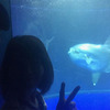 サンシャイン水族館