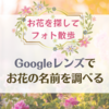 お花を探してフォト散歩「Googleレンズ」でお花の名前を調べて楽しんでいます♪