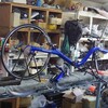 入荷開始