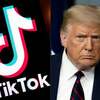 Tiktokがトランプ大統領を提訴！ショート動画アプリが世界情勢を変える可能性も