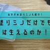 塗りミノだけで生え際やM字薄毛に効果はあるのか！？【育毛体験ブログ】